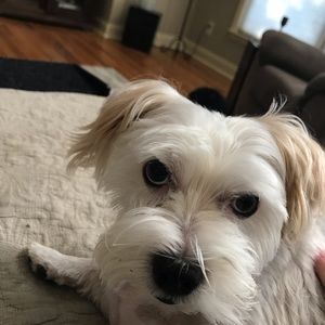 Meet your Posher, Sharon